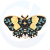 Kartun Butterfly Animals Pin Cute Enamel Pins Set Label Lencana Lencana Lain -lucu Hadiah Untuk Pin Pin Pin Pin Haiwan Untuk Seluar Jeans